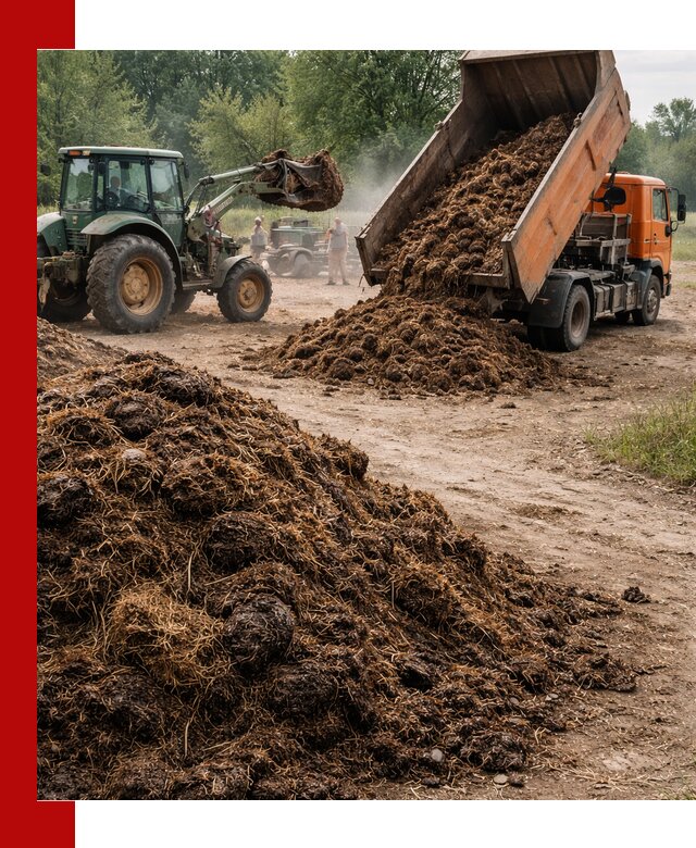 Доставка навоза самосвалами в Кизилюрте для сельхозпотребностей